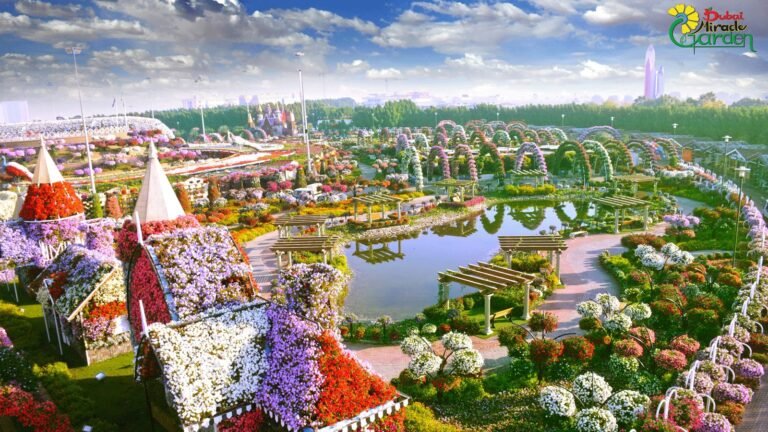 Discovering the Wonders of Dubai Miracle Garden: Nature’s Splendor in the Desert