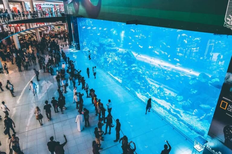 Umm Al Quwain Water Park – Ticket Prices, Attractions & Family Fun