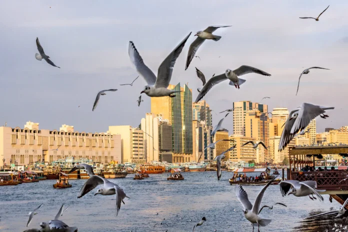 deira-fallback-getty