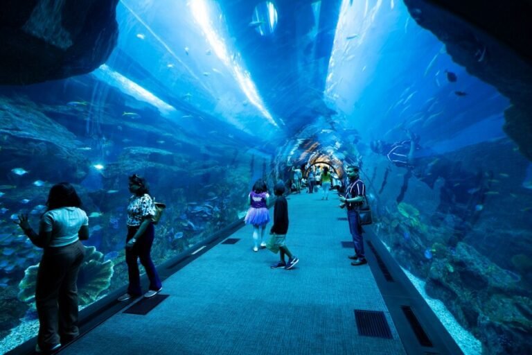 Indoor Water Park Dubai – Top Indoor Splash Zones, Tickets & Family Fun