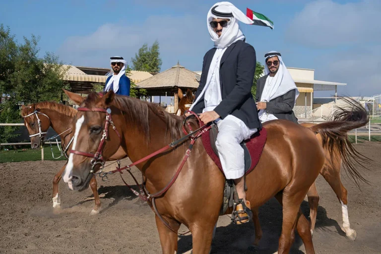 Horse Riding Dubai – Ultimate Guide to Equestrian Experiences