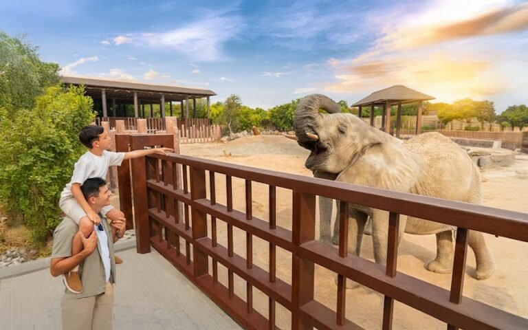 Zoo Safari Dubai Tickets – Guide to Dubai Safari Park